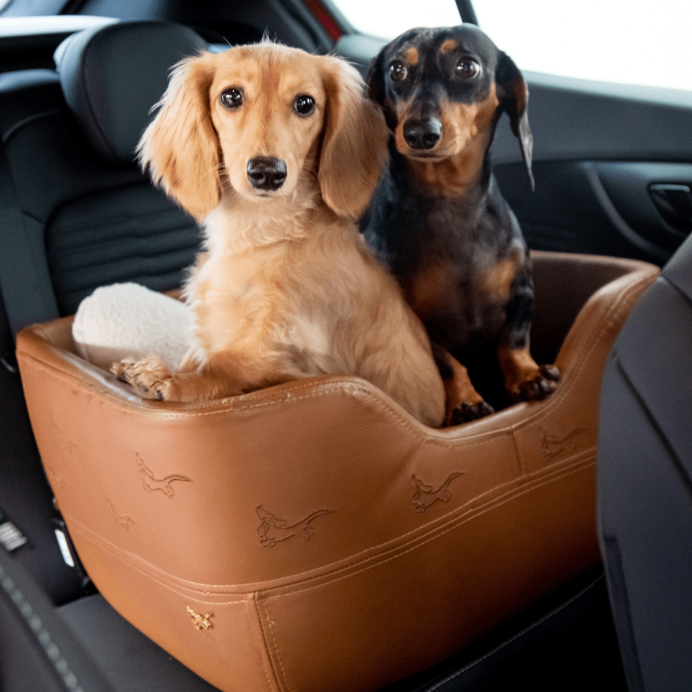 Cadeirinha Pet Confort