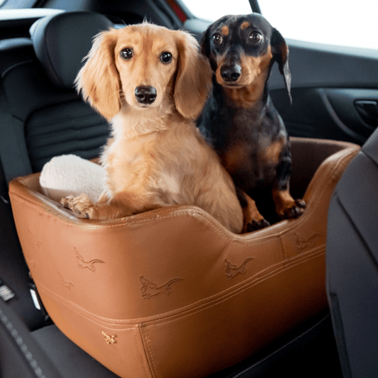 Cadeirinha Pet Confort