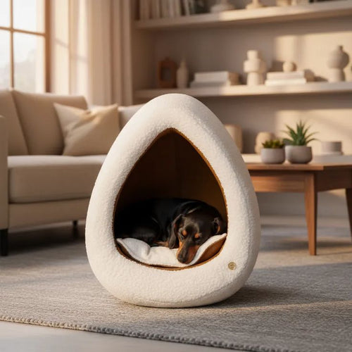 Toca Luna para Cachorros com Almofada Dupla Face